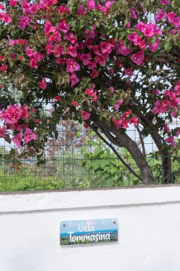 קרוביניו Villa Tommasina מראה חיצוני תמונה