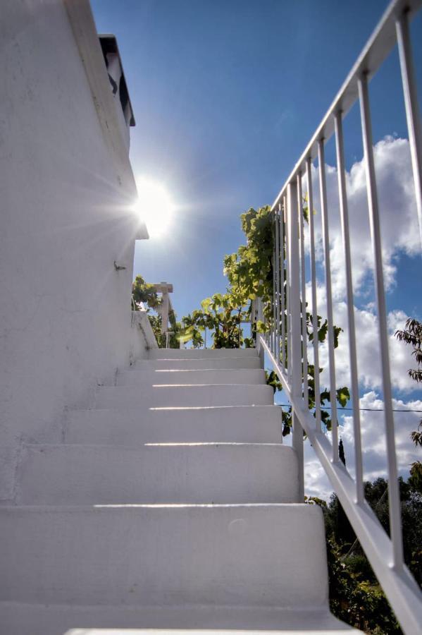 קרוביניו Villa Tommasina מראה חיצוני תמונה