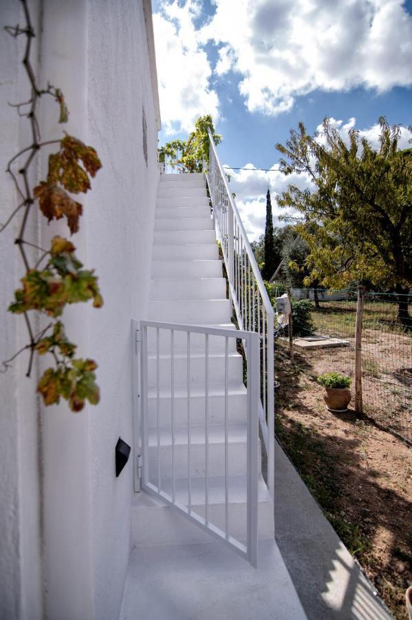 קרוביניו Villa Tommasina מראה חיצוני תמונה