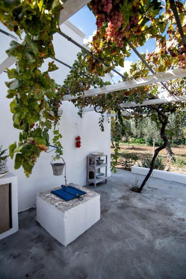 קרוביניו Villa Tommasina מראה חיצוני תמונה
